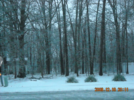 ice storm 08-09