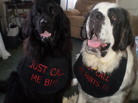 Their new bibs!!!