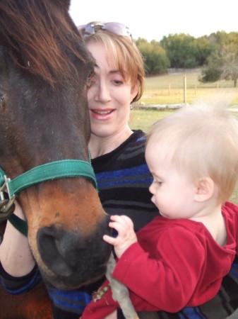 My daughter's first horse encounter