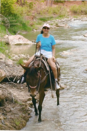 Horse/mule-back riding in Zion