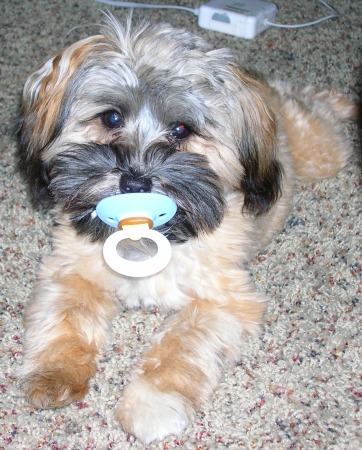 addie with pacifier