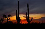 Ahh, beautiful Tucson sunsets