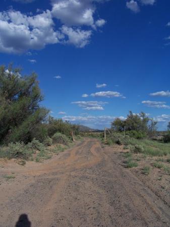 New Mexico road