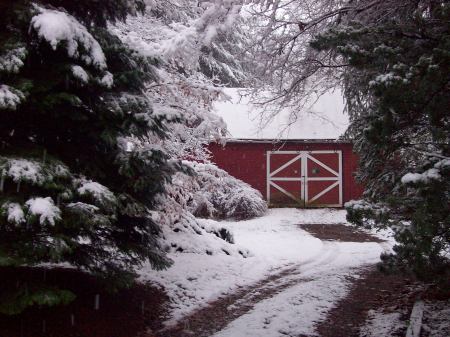 First snow of the season - Dec. 2009