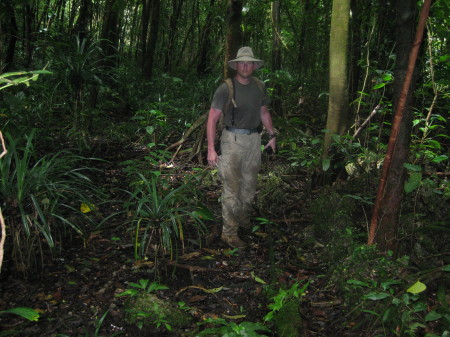 Peleliu jungle