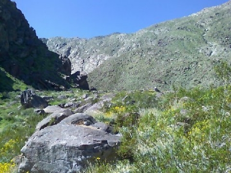 Tahquitz Canyon.