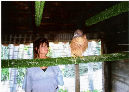Redtail Hawk Isis & I