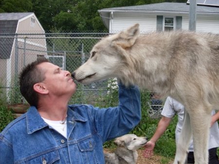 Wolfie kisses  :-)