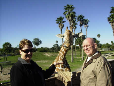 Busch Gardens