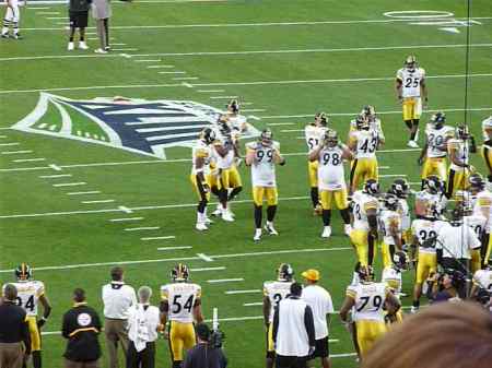 Superbowl XLIII. Go STEELERS!!