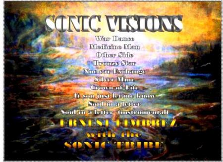 Sonic Visions back cover