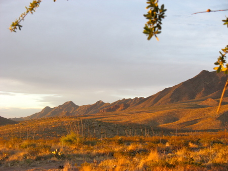 franklin mountain state park