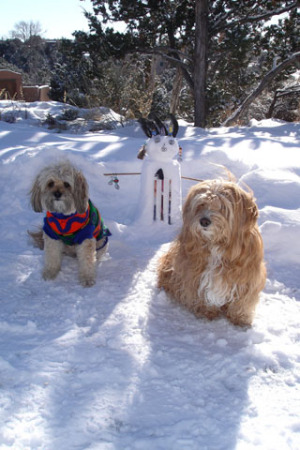 My snow babies. Winter '08 in Santa Fe