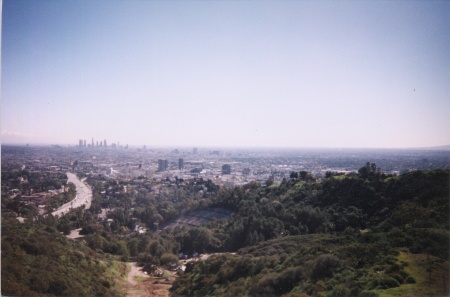 See the Hollywood sign?