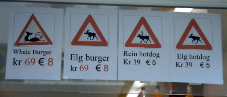 Norwegian Fast Food