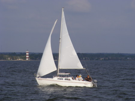 a new sailboat