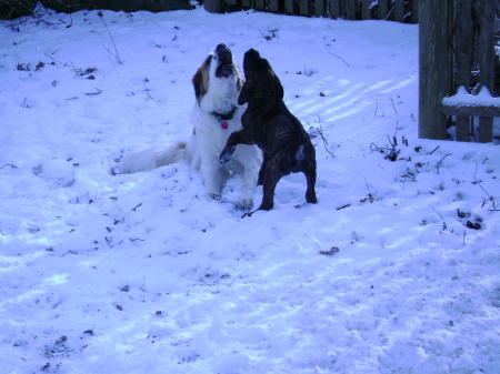 Frankie & Clementine: Gladiator Games