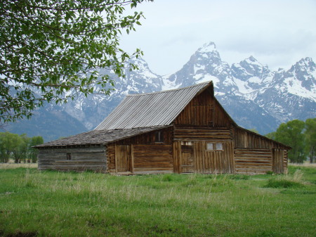 Mormon Row Jackson Hole Wy.