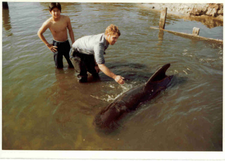 Taniguichi and Moore and a whale.