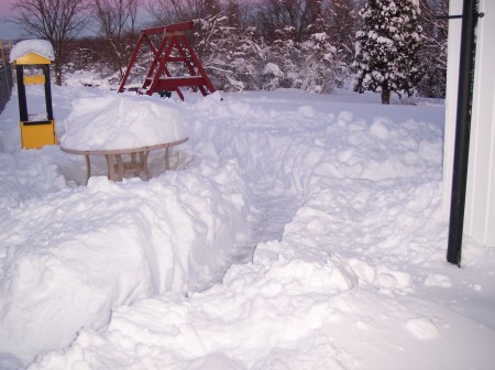 backyard blizzard 2010