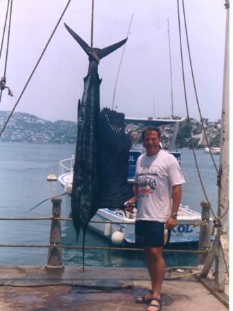 Acapulco Sailfish