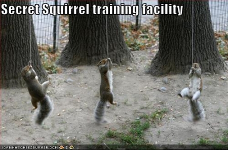 secret squirrel training facility