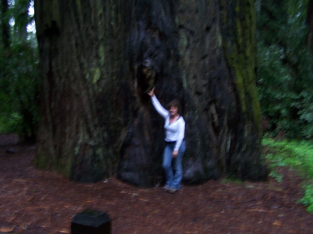 BIG TREE & Me