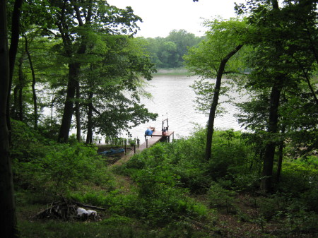 my back yard, looking at Back Creek