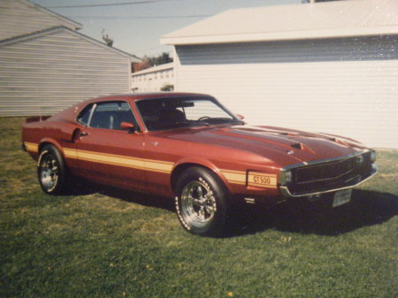 Another view of the Shelby