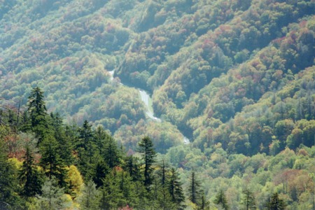 Cumberland Mountains