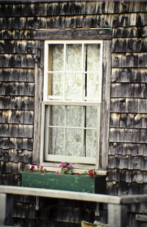 Window Box Maine 1990