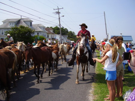 Pony swim 2009 - down south main st