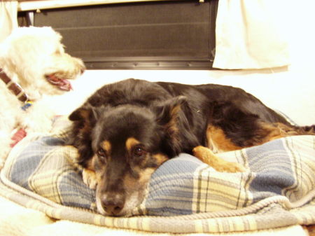 Heidi and Ben in the trailer at night