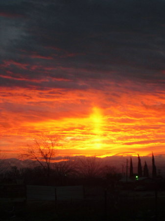 morning pic outside my front door