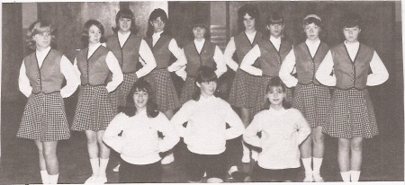 AHS cheerleaders 1966