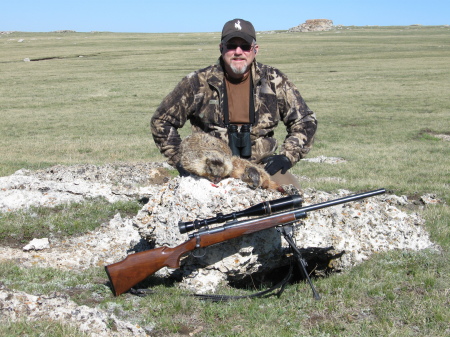 Rock Chuck Hunting in Big Horn Mtns, WY