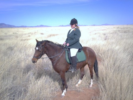 My Peruvian horse and I