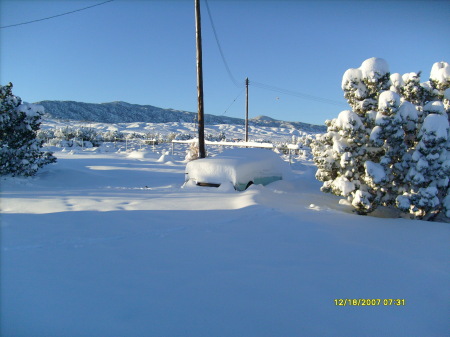 62 T-Bird in the snow