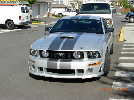 STANG 001