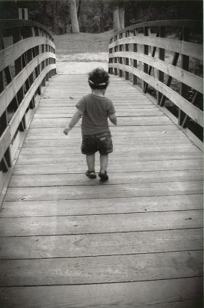 Skye walking on a bridge at home.