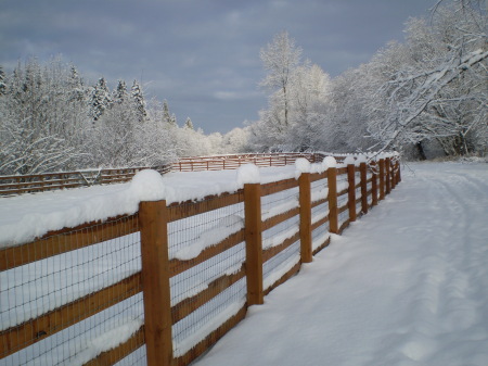 Back Pasture in Winter