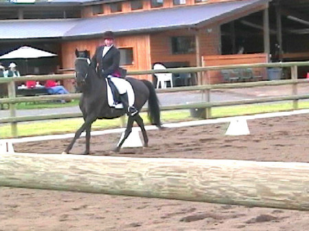 Mickey riding dressage on Chancellor