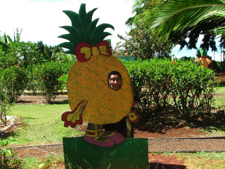 pineapple head