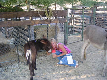 April with a baby burro (burrito)