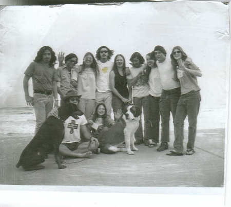 1970's Beach Gang Planter Box Buddies