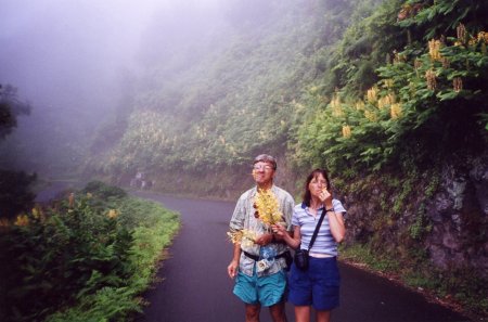 Sao Jorge, Azores Islands