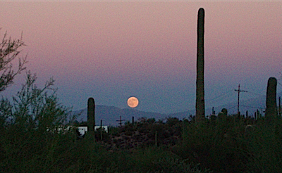 ARIZONA MOON