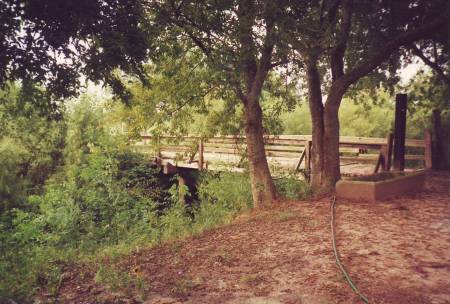 Mykawa Stables