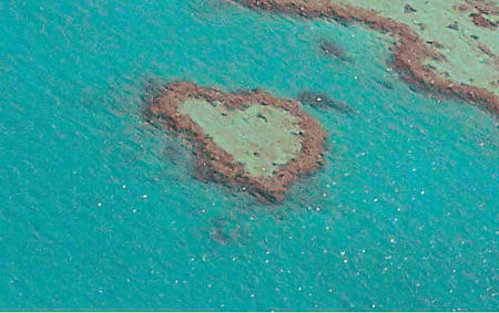 Heart Reef in the Whitsundays, Australia