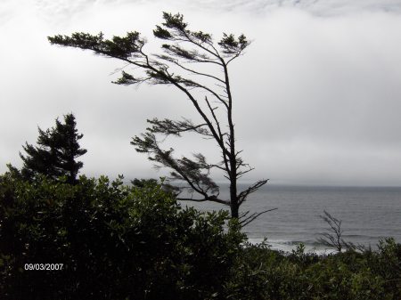 Oregon Coast